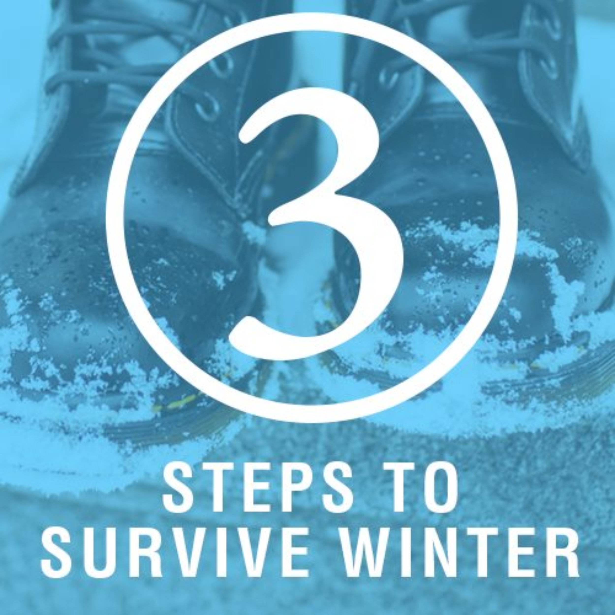 3 Steps to Survive Winter