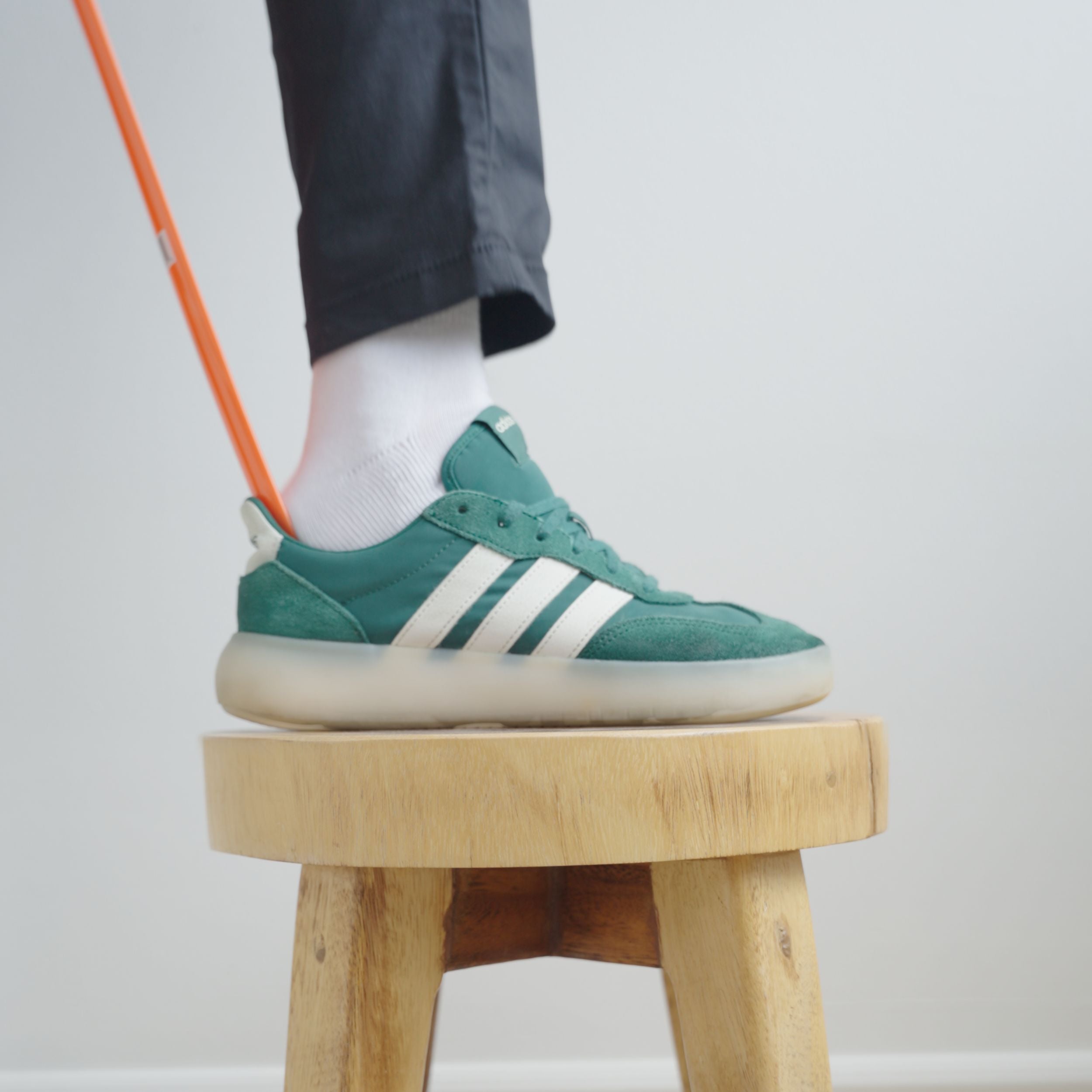 Shoe Horns