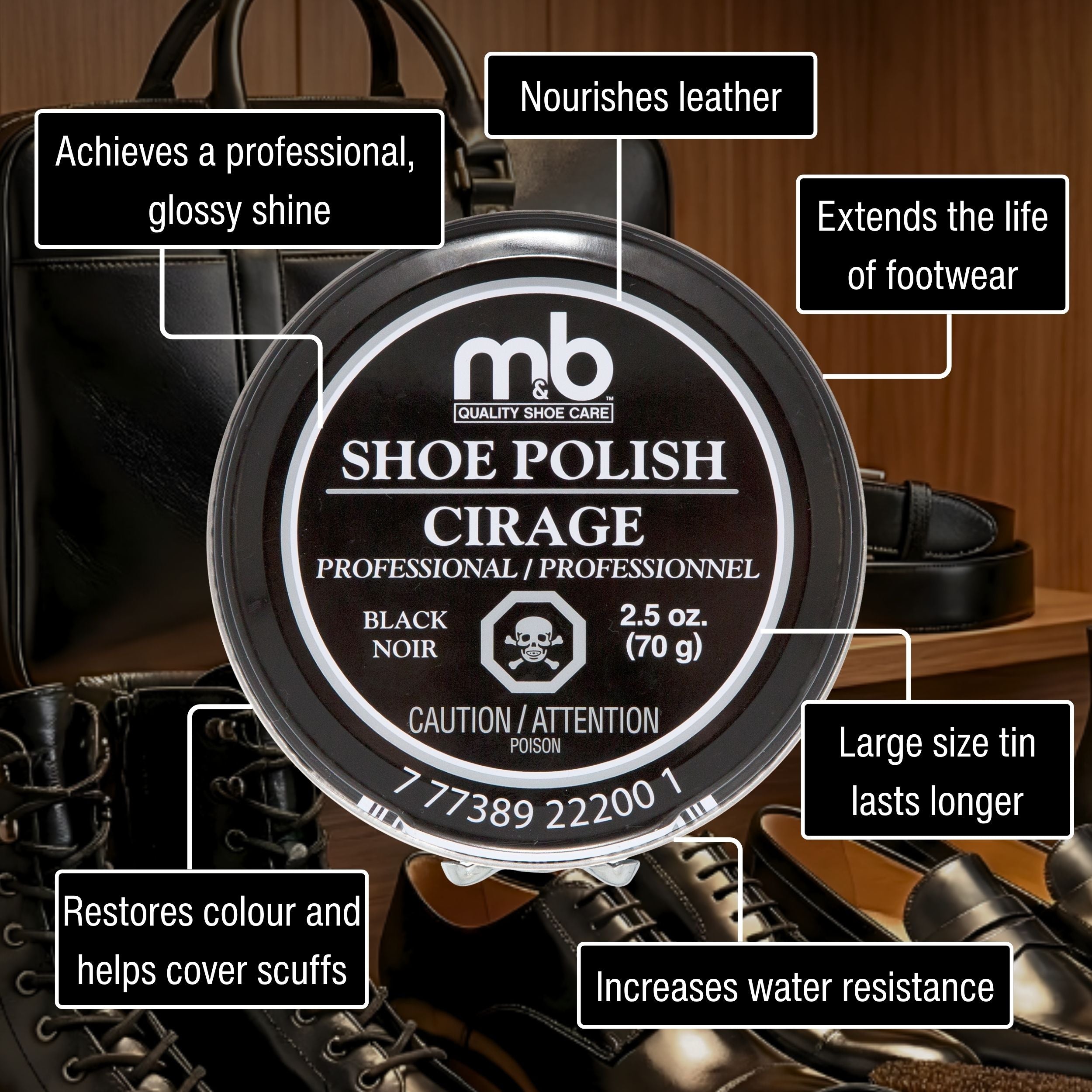 Professional Shoe Polish