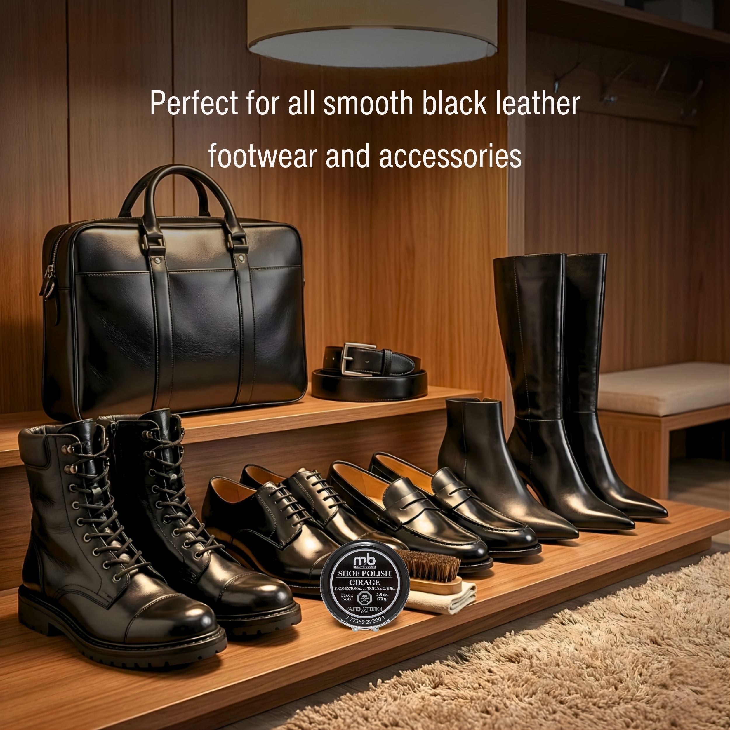 Professional Shoe Polish